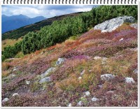 /album/tatry-zapad-/tatransky-koberec-jpg/